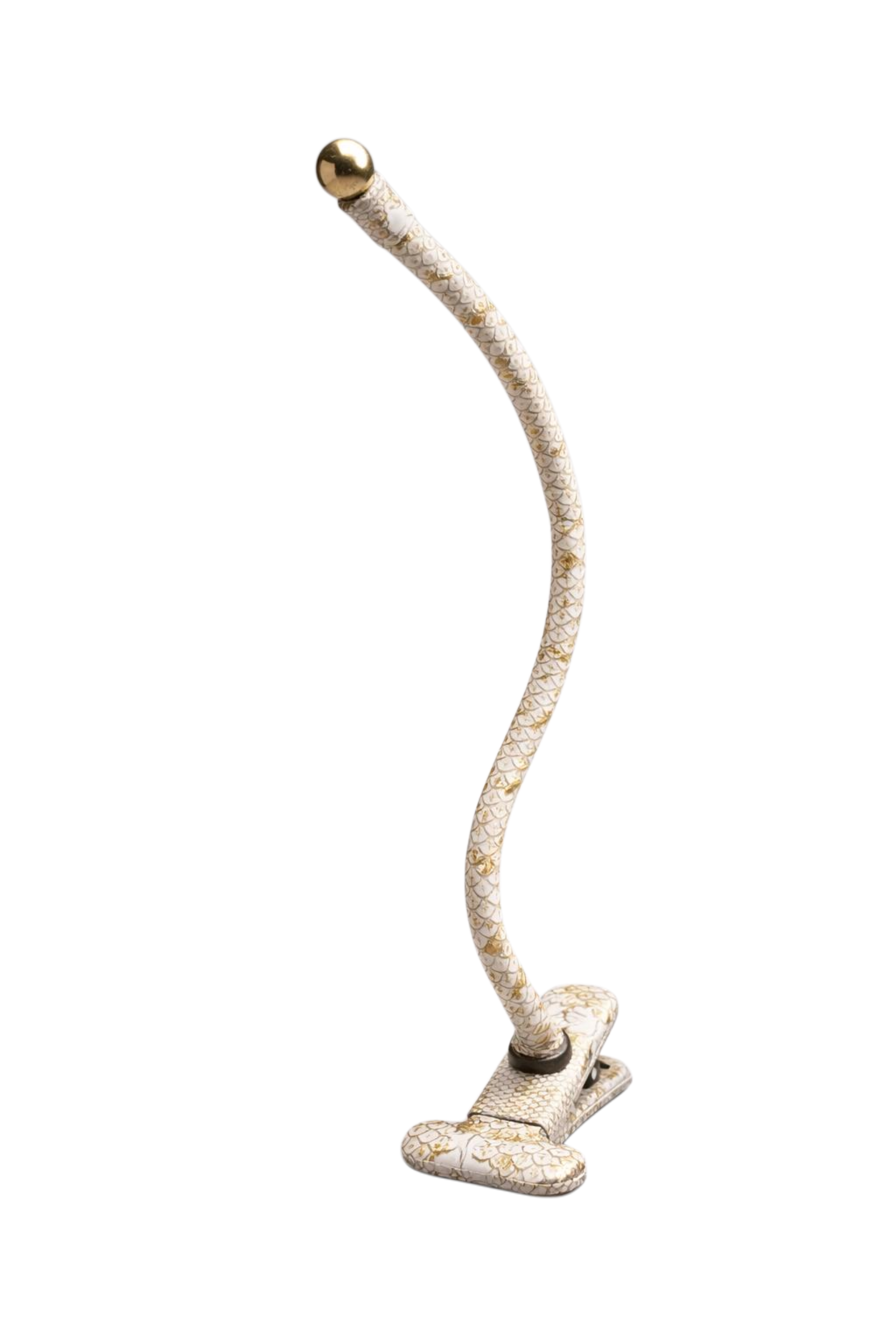 Braccio Collo di Cigno
